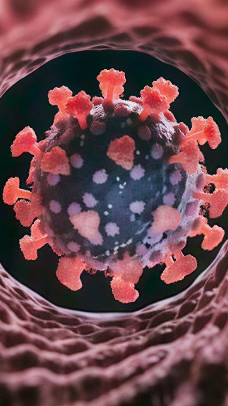 US Monitors Emerging COVID-19 Variant BA.3.2 ‘Cicada’ Amid Rising Global Detection