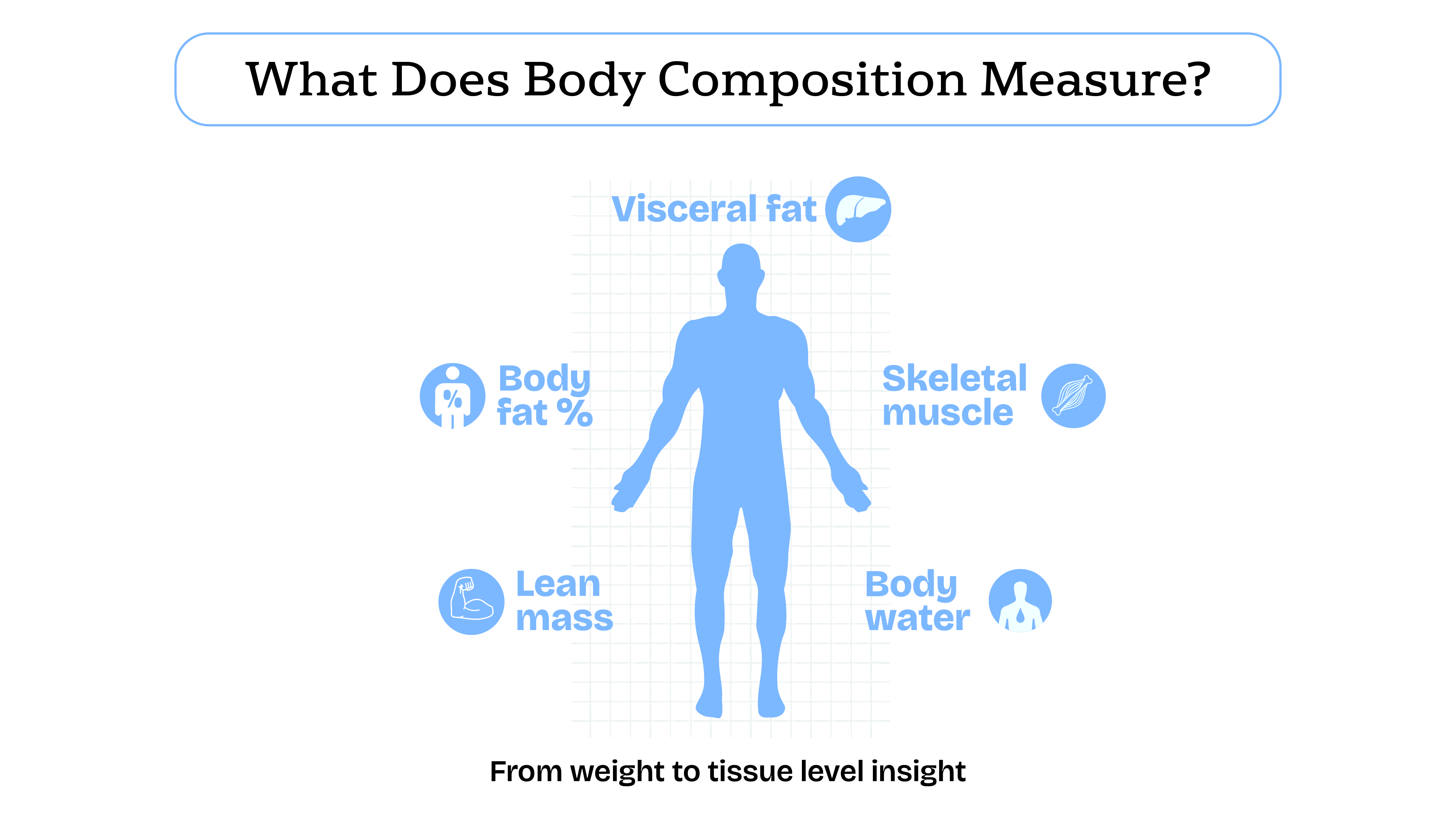 “What Does Body Composition Measure?”