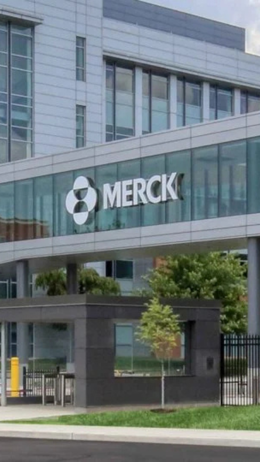 Merck to Acquire Terns Pharmaceuticals, Expanding Hematology Pipeline with TERN-701